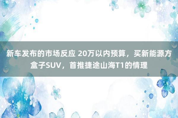 新车发布的市场反应 20万以内预算，买新能源方盒子SUV，首推捷途山海T1的情理