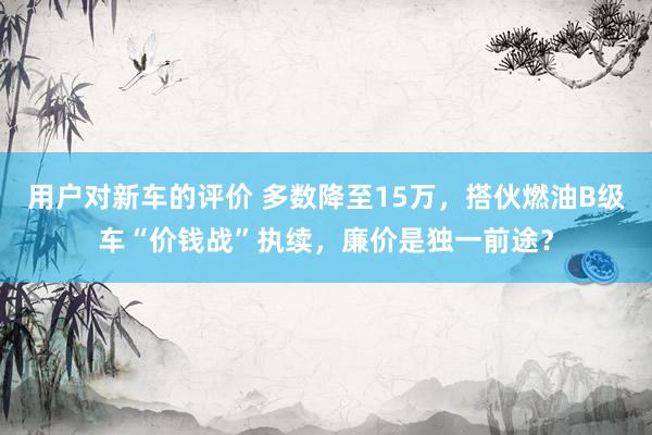 用户对新车的评价 多数降至15万，搭伙燃油B级车“价钱战”执续，廉价是独一前途？