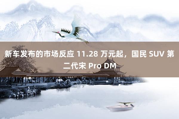 新车发布的市场反应 11.28 万元起，国民 SUV 第二代宋 Pro DM