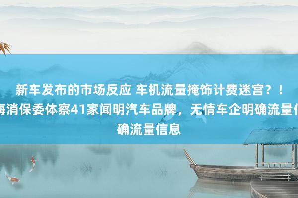 新车发布的市场反应 车机流量掩饰计费迷宫？！上海消保委体察41家闻明汽车品牌，无情车企明确流量信息