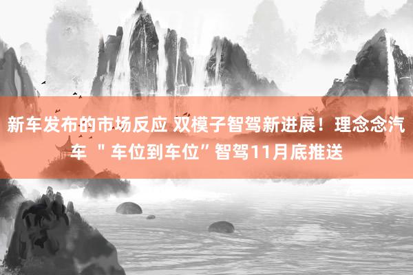 新车发布的市场反应 双模子智驾新进展！理念念汽车 ＂车位到车位”智驾11月底推送