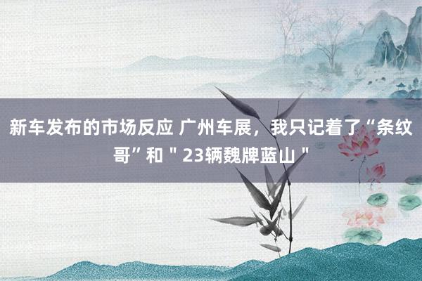 新车发布的市场反应 广州车展，我只记着了“条纹哥”和＂23辆魏牌蓝山＂