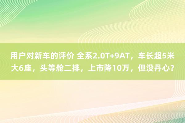 用户对新车的评价 全系2.0T+9AT，车长超5米大6座，头等舱二排，上市降10万，但没丹心？