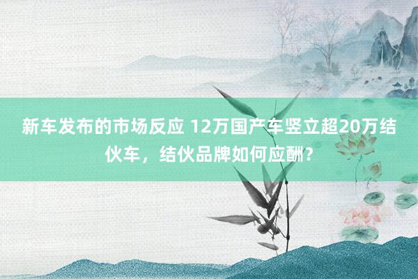 新车发布的市场反应 12万国产车竖立超20万结伙车，结伙品牌如何应酬？