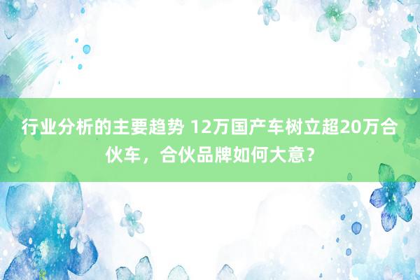 行业分析的主要趋势 12万国产车树立超20万合伙车，合伙品牌如何大意？