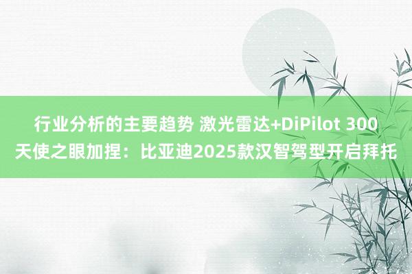 行业分析的主要趋势 激光雷达+DiPilot 300天使之眼加捏：比亚迪2025款汉智驾型开启拜托