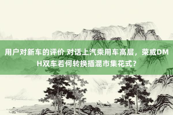 用户对新车的评价 对话上汽乘用车高层，荣威DMH双车若何转换插混市集花式？