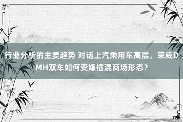 行业分析的主要趋势 对话上汽乘用车高层，荣威DMH双车如何变嫌插混商场形态？