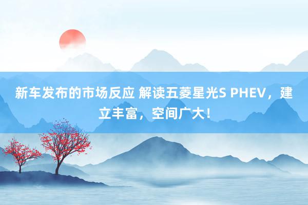 新车发布的市场反应 解读五菱星光S PHEV，建立丰富，空间广大！