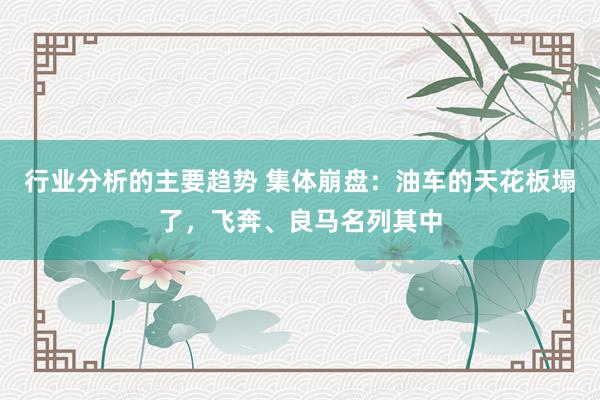 行业分析的主要趋势 集体崩盘：油车的天花板塌了，飞奔、良马名列其中