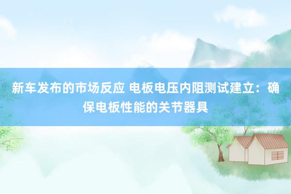 新车发布的市场反应 电板电压内阻测试建立：确保电板性能的关节器具