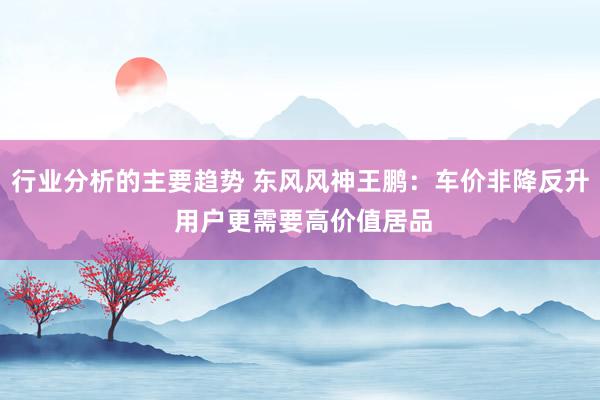 行业分析的主要趋势 东风风神王鹏：车价非降反升 用户更需要高价值居品