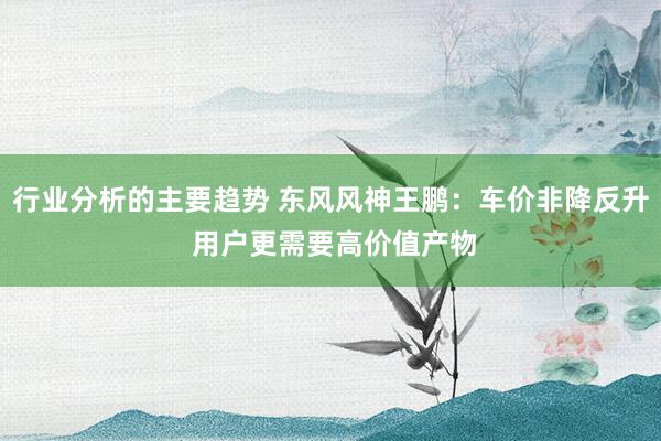 行业分析的主要趋势 东风风神王鹏：车价非降反升 用户更需要高价值产物