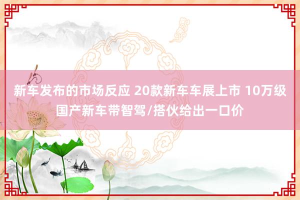 新车发布的市场反应 20款新车车展上市 10万级国产新车带智驾/搭伙给出一口价