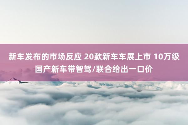 新车发布的市场反应 20款新车车展上市 10万级国产新车带智驾/联合给出一口价