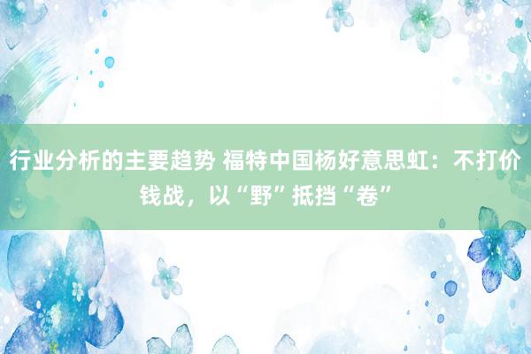 行业分析的主要趋势 福特中国杨好意思虹：不打价钱战，以“野”抵挡“卷”