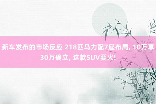 新车发布的市场反应 218匹马力配7座布局, 10万享30万