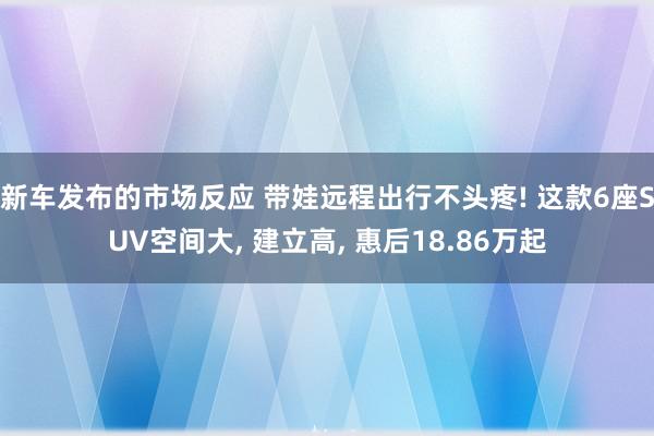 新车发布的市场反应 带娃远程出行不头疼! 这款6座SUV空间