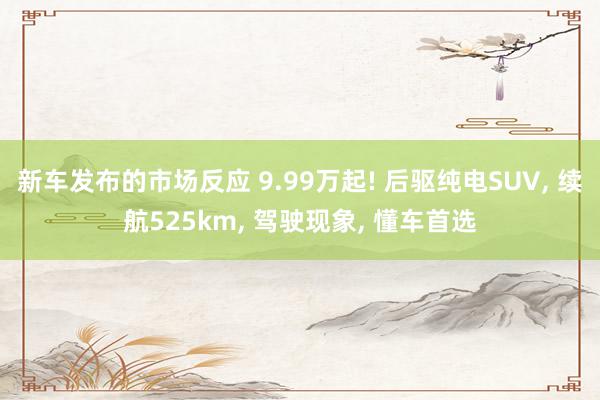 新车发布的市场反应 9.99万起! 后驱纯电SUV, 续航5