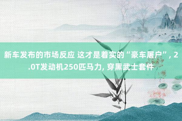 新车发布的市场反应 这才是着实的“豪车屠户”, 2.0T发动