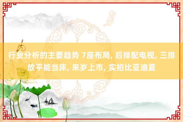 行业分析的主要趋势 7座布局, 后排配电视, 三排放平能当床