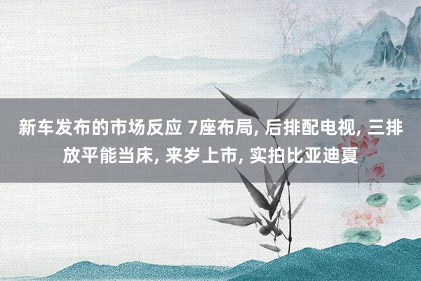 新车发布的市场反应 7座布局, 后排配电视, 三排放平能当床