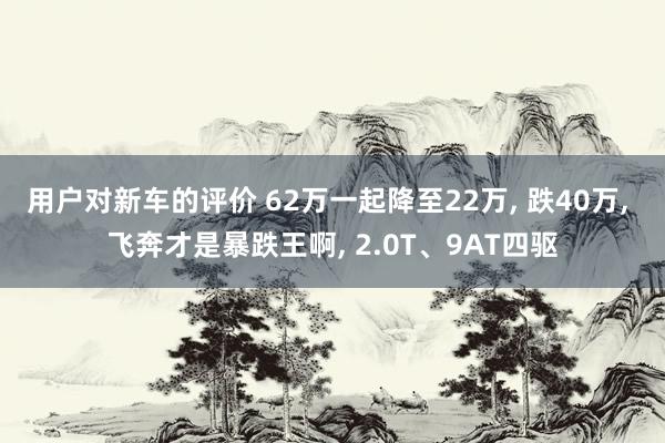 用户对新车的评价 62万一起降至22万, 跌40万, 飞奔才