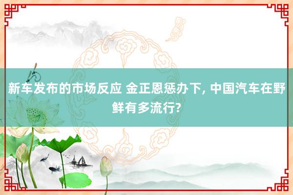 新车发布的市场反应 金正恩惩办下, 中国汽车在野鲜有多流行?