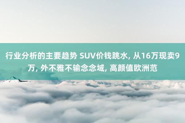 行业分析的主要趋势 SUV价钱跳水, 从16万现卖9万, 外不雅不输念念域, 高颜值欧洲范