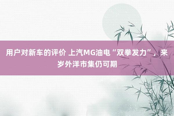 用户对新车的评价 上汽MG油电“双拳发力”，来岁外洋市集仍可期