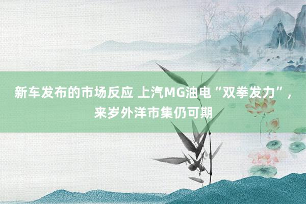 新车发布的市场反应 上汽MG油电“双拳发力”，来岁外洋市集仍可期