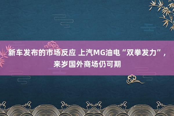 新车发布的市场反应 上汽MG油电“双拳发力”，来岁国外商场仍可期