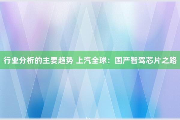 行业分析的主要趋势 上汽全球：国产智驾芯片之路