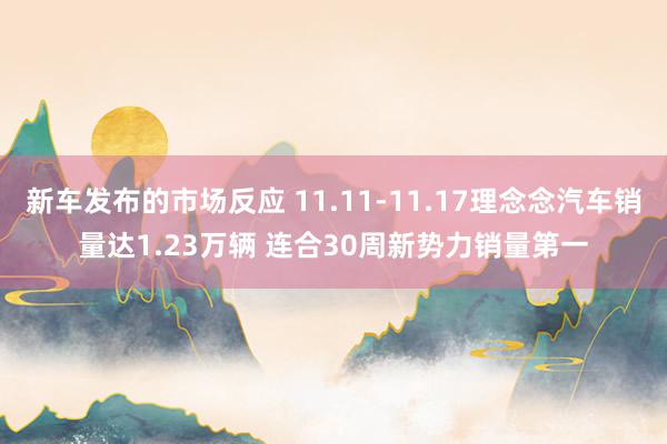 新车发布的市场反应 11.11-11.17理念念汽车销量达1