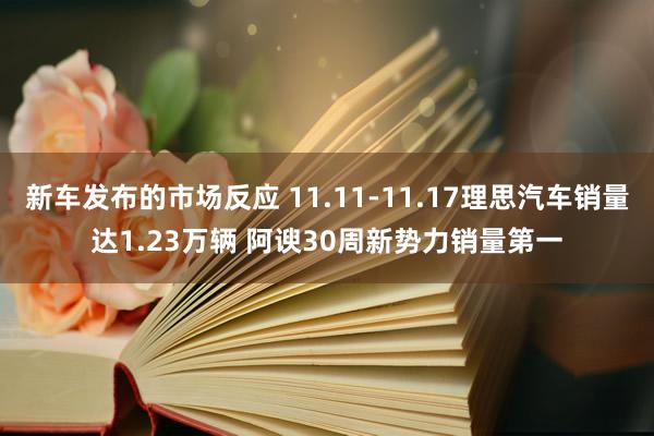 新车发布的市场反应 11.11-11.17理思汽车销量达1.