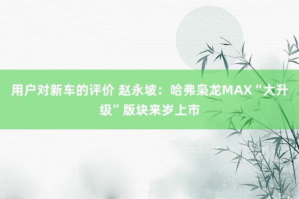 用户对新车的评价 赵永坡：哈弗枭龙MAX“大升级”版块来岁上