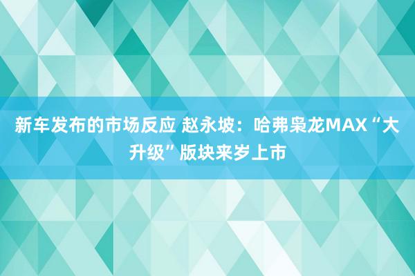 新车发布的市场反应 赵永坡：哈弗枭龙MAX“大升级”版块来岁